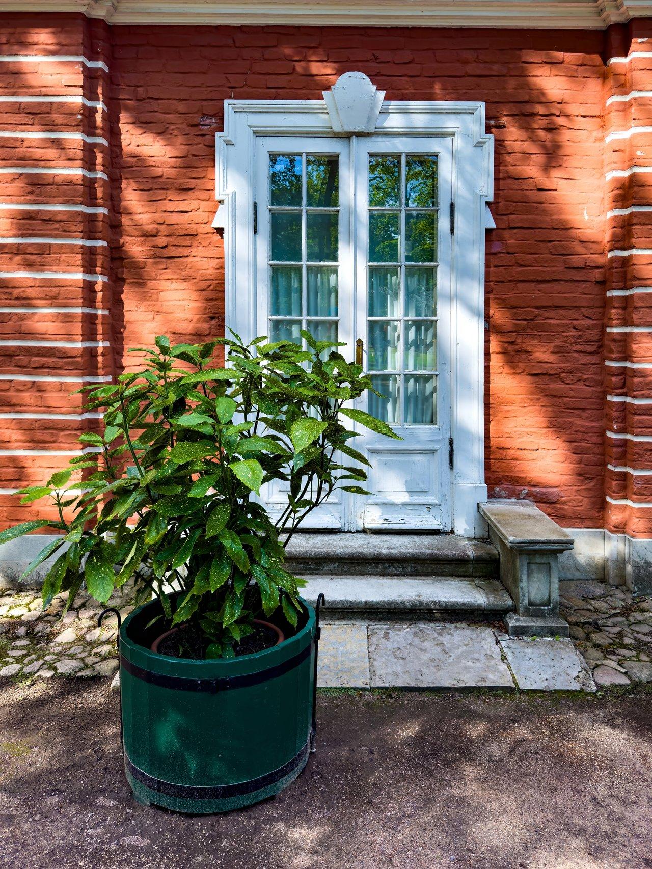 Entrée de maison bien entretenue avec porte blanche, plantes vertes et escalier accueillant.